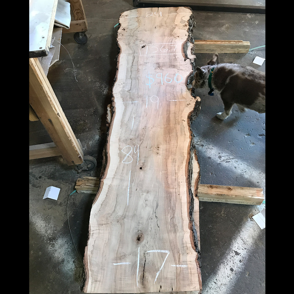 Live Edge Silver Maple Slab