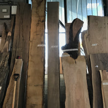 Live Edge Slabs (Various)