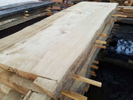 Live edge Cotton Wood (Priced per BF) (Pick - Up from shop or call for custom shipping)