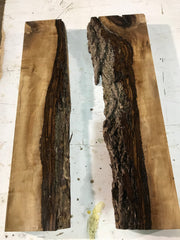 Pair of Live edge Walnut